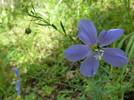 photo thumbnail #10