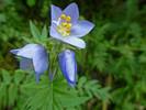 photo thumbnail #11