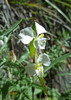 photo thumbnail #15