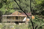 recent photo