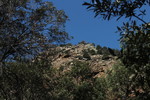 photo thumbnail #8