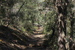 photo thumbnail #11
