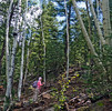 photo thumbnail #8