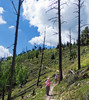 photo thumbnail #12