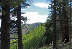 photo thumbnail #15