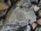 photo thumbnail #12