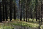 photo thumbnail #9