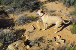 photo thumbnail #4