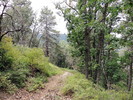 photo thumbnail #9