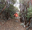 photo thumbnail #12