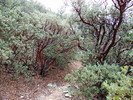 photo thumbnail #15
