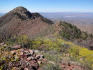 photo thumbnail #6