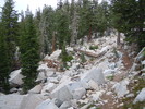 photo thumbnail #9