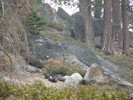photo thumbnail #3