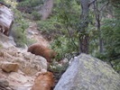 photo thumbnail #4