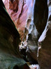 photo thumbnail #13