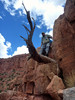photo thumbnail #11