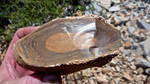 photo thumbnail #13