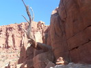 photo thumbnail #11