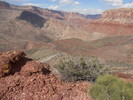 photo thumbnail #7