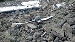 photo thumbnail #14