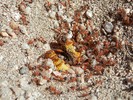 photo thumbnail #14