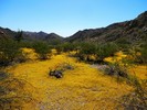 photo thumbnail #15
