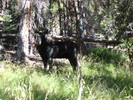 photo thumbnail #5