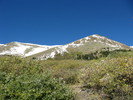 photo thumbnail #8