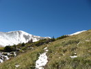 photo thumbnail #10