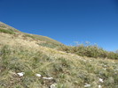 photo thumbnail #11