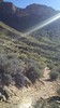 photo thumbnail #15