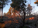 photo thumbnail #1