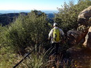 photo thumbnail #2