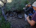 photo thumbnail #6