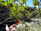 photo thumbnail #10