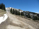 photo thumbnail #10
