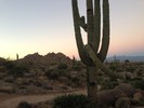 photo thumbnail #5
