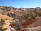photo thumbnail #14