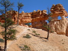 photo thumbnail #6