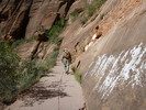 photo thumbnail #3