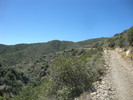 photo thumbnail #12