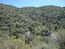 photo thumbnail #13