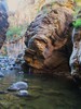photo thumbnail #10