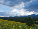 photo thumbnail #2