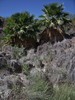 photo thumbnail #14
