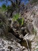 photo thumbnail #15