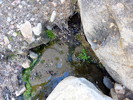 Featured Detail Photo