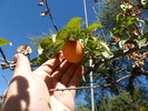 photo thumbnail #12