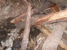 photo thumbnail #7